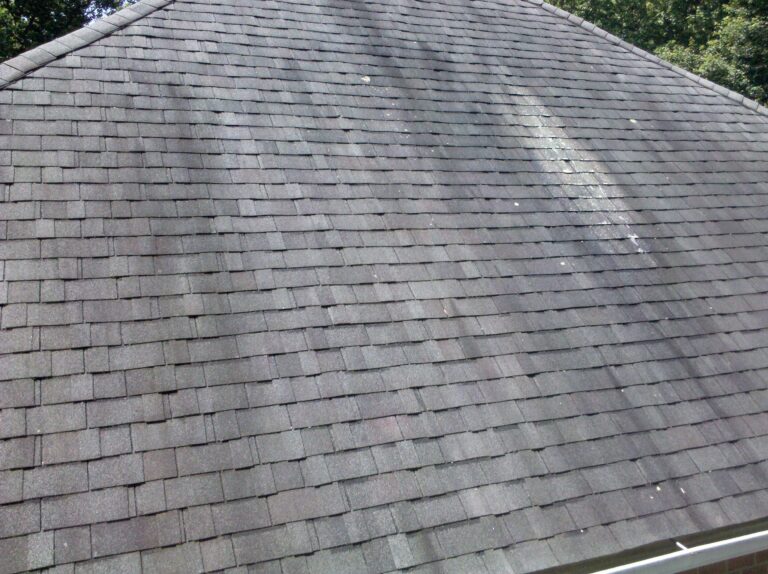 Black Streaks on Your Raleigh Roof? What Gloeocapsa Magma Means for Your Shingles